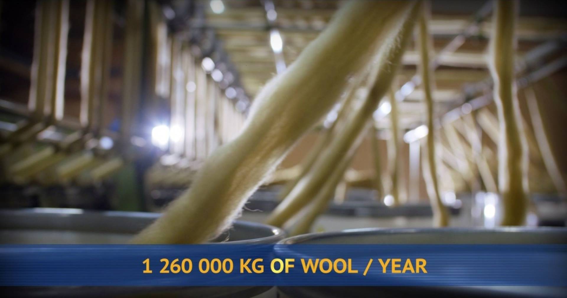 Wool1